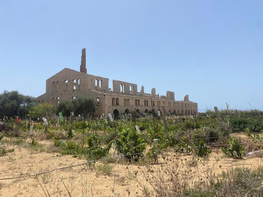 Ificumori, Campagna Ammare Villa Marina di Modica Exterior photo