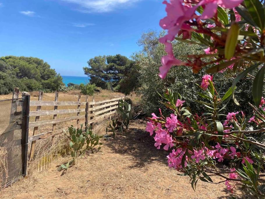 Ificumori, Campagna Ammare Villa Marina di Modica Exterior photo